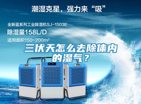 三伏天怎么去除體內(nèi)的濕氣？