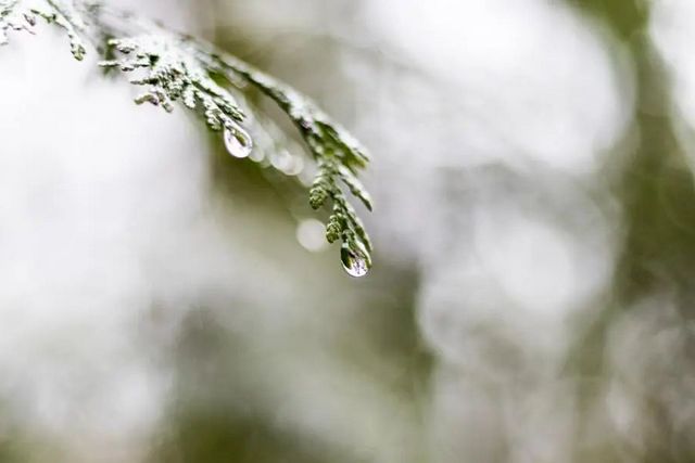 空氣濕度大帶來的危害有哪些，你知道嗎？