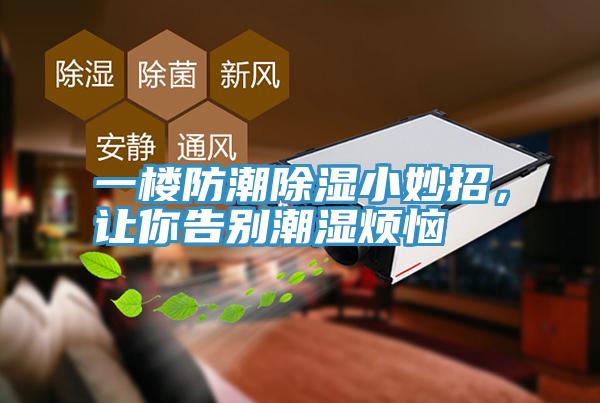 一樓防潮除濕小妙招，讓你告別潮濕煩惱