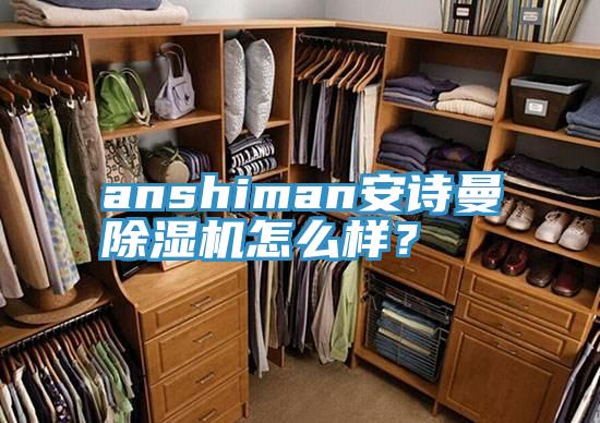 anshiman安詩曼除濕機怎么樣？