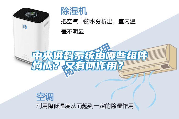 中央供料系統(tǒng)由哪些組件構(gòu)成？又有何作用？