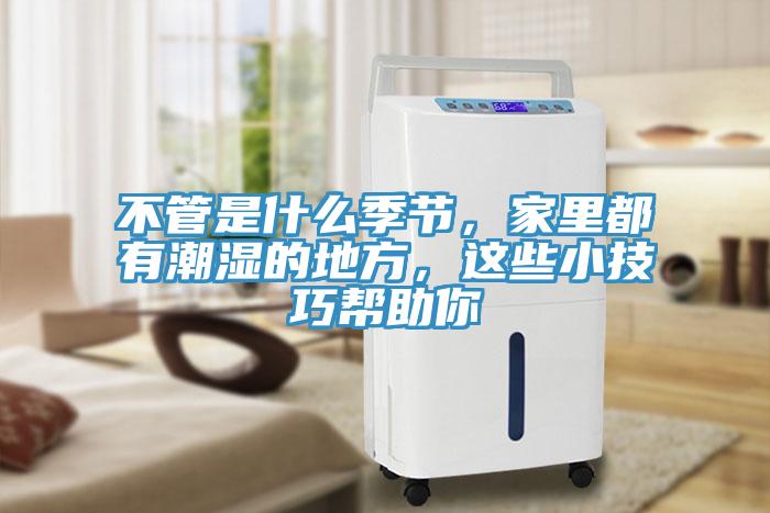 不管是什么季節(jié)，家里都有潮濕的地方，這些小技巧幫助你
