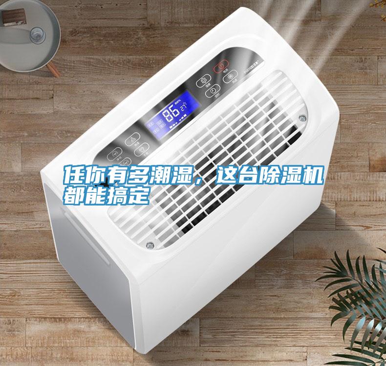 任你有多潮濕，這臺除濕機都能搞定