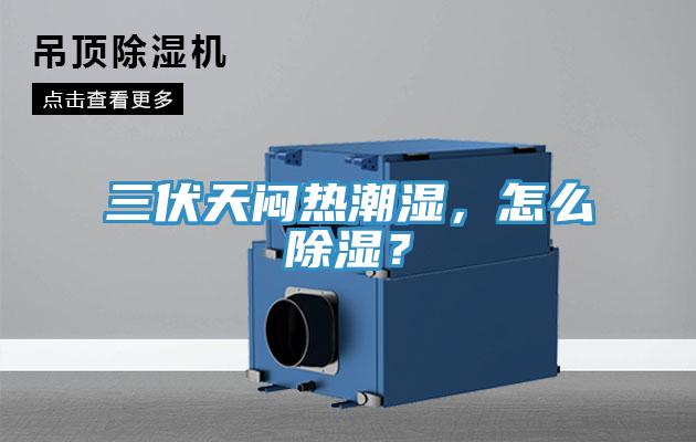 三伏天悶熱潮濕，怎么除濕？