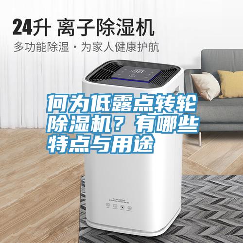 何為低露點轉輪除濕機？有哪些特點與用途