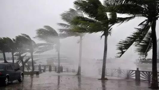 8月臺風(fēng)雨即將來，除濕機還得用起來