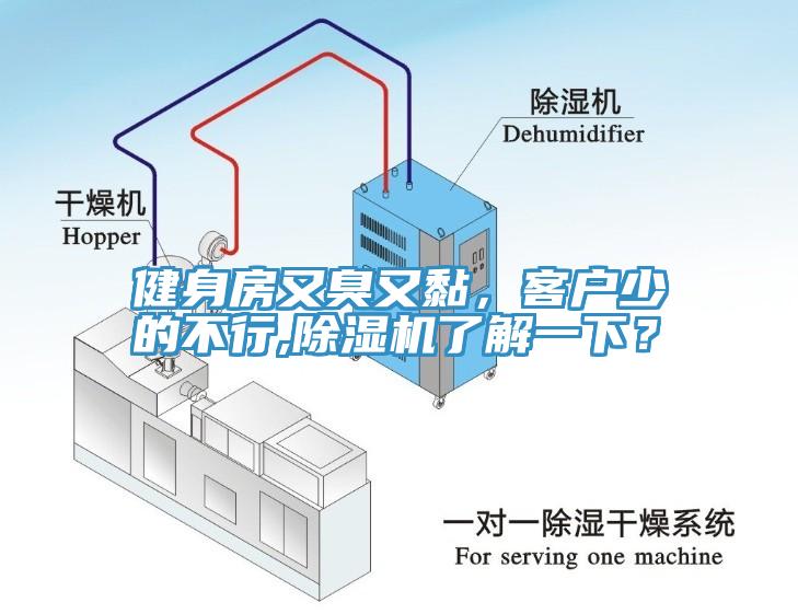 健身房又臭又黏，客戶少的不行,除濕機(jī)了解一下？