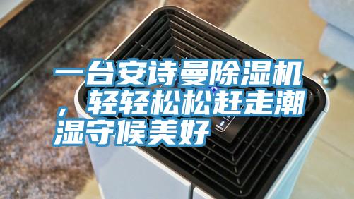 一臺(tái)安詩(shī)曼除濕機(jī)，輕輕松松趕走潮濕守候美好