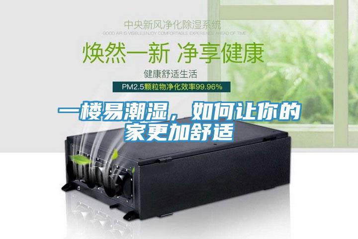 一樓易潮濕，如何讓你的家更加舒適