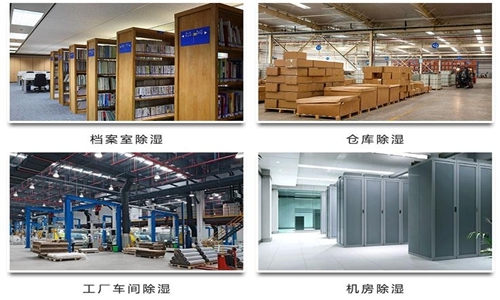 為什么竹筍烘干房需要除濕機(jī)？