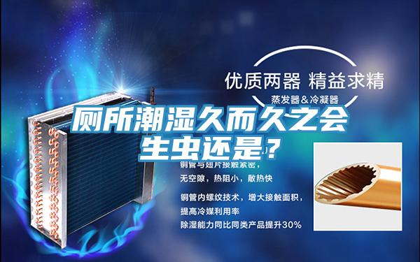 廁所潮濕久而久之會(huì)生蟲還是？