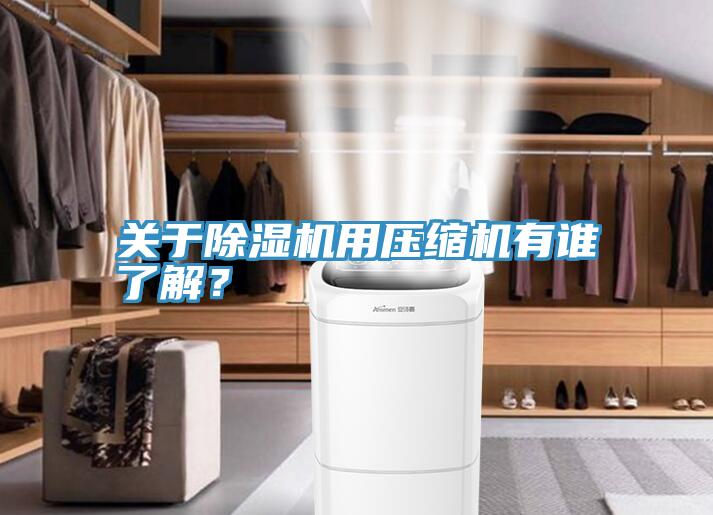 關(guān)于除濕機用壓縮機有誰了解？