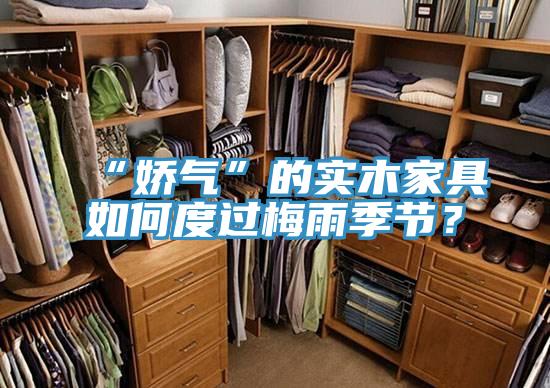“嬌氣”的實木家具如何度過梅雨季節(jié)？