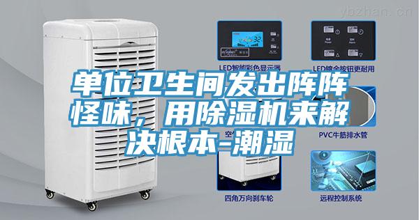 單位衛(wèi)生間發(fā)出陣陣怪味，用除濕機來解決根本-潮濕