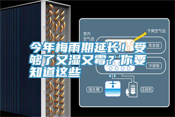 今年梅雨期延長(zhǎng)！受夠了又濕又霉？你要知道這些