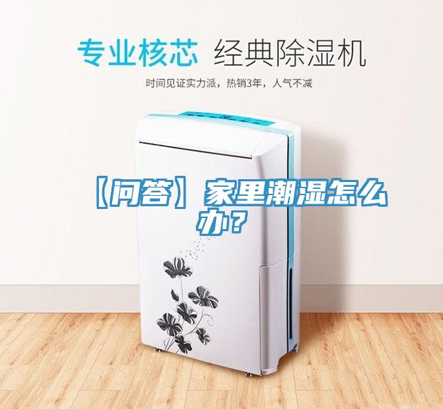 【問答】家里潮濕怎么辦？