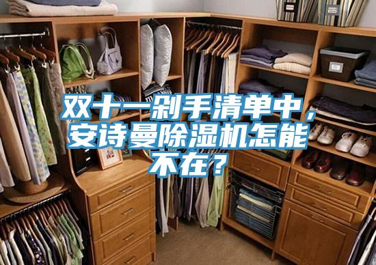 雙十一剁手清單中，安詩曼除濕機怎能不在？