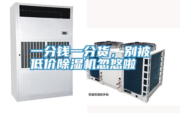 一分錢一分貨，別被低價除濕機忽悠啦