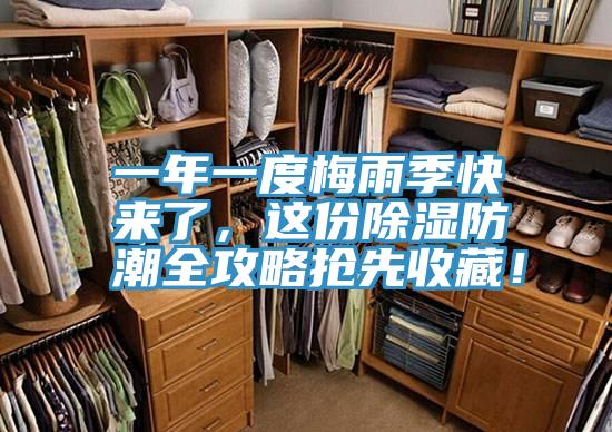 一年一度梅雨季快來了，這份除濕防潮全攻略搶先收藏！