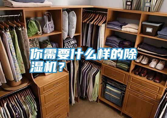 你需要什么樣的除濕機？