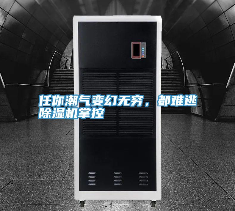 任你潮氣變幻無(wú)窮，都難逃除濕機(jī)掌控