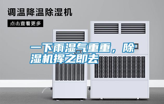 一下雨濕氣重重，除濕機揮之即去