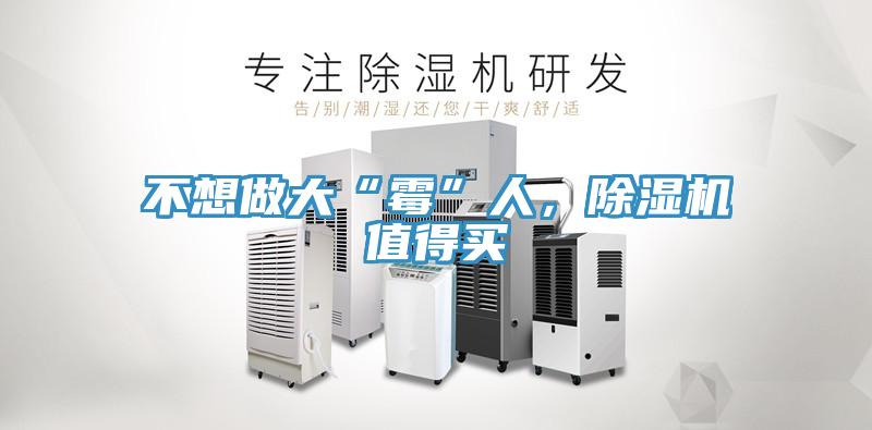 不想做大“霉”人，除濕機值得買