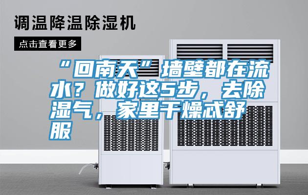 “回南天”墻壁都在流水？做好這5步，去除濕氣，家里干燥忒舒服