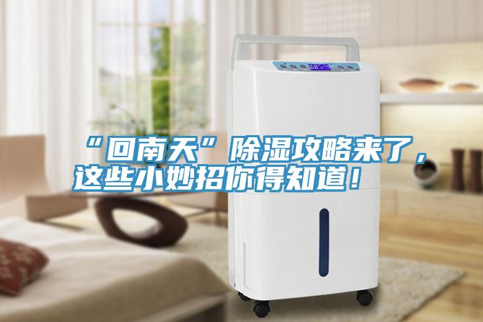 “回南天”除濕攻略來了，這些小妙招你得知道！