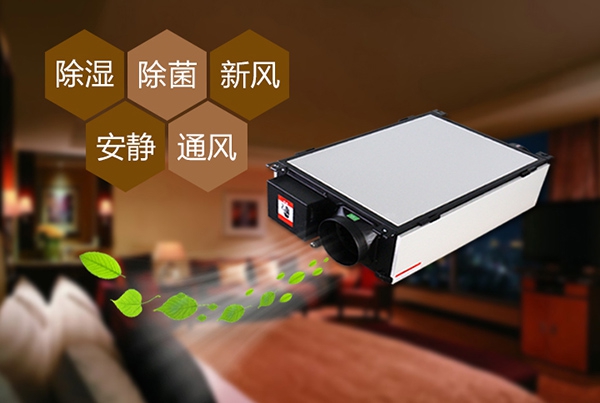 為什么冷庫除濕機會出現結霜的情況？