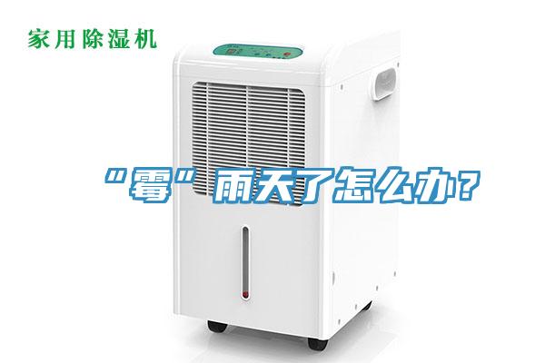 “霉”雨天了怎么辦？