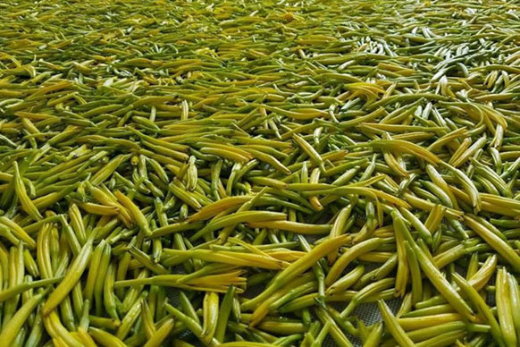 無硫金針菜烘干如何保持品相？不發(fā)黑？_除濕機廠家