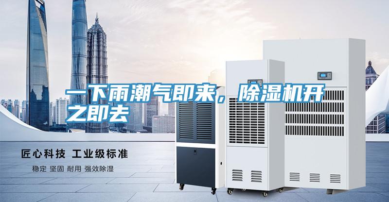 一下雨潮氣即來，除濕機開之即去
