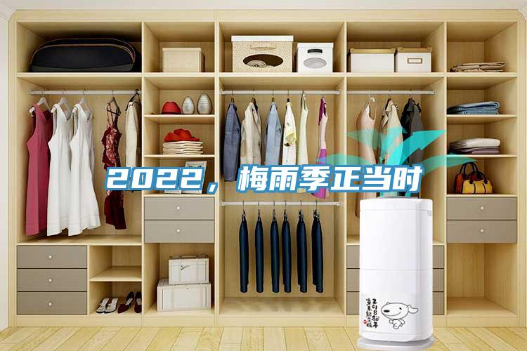 2022，梅雨季正當(dāng)時(shí)
