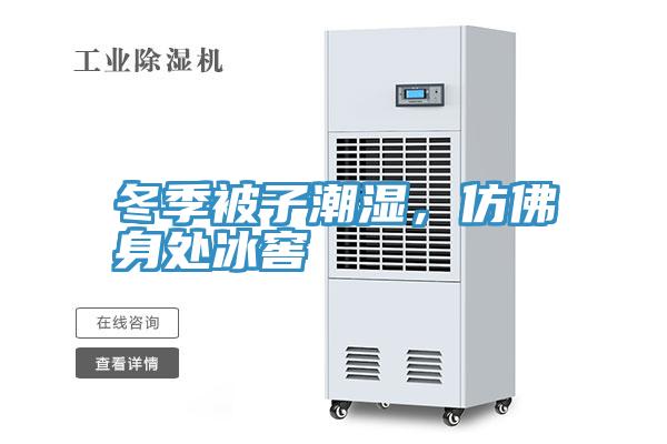 冬季被子潮濕，仿佛身處冰窖