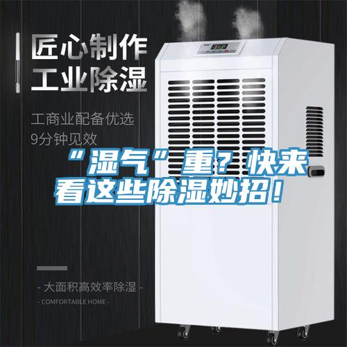 “濕氣”重？快來看這些除濕妙招！