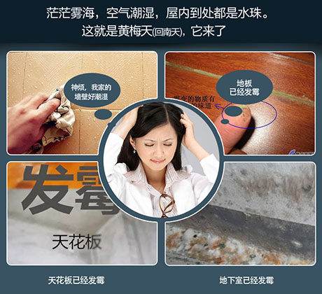 家庭別墅的地下室、衛(wèi)生間、儲物室等該如何除濕？