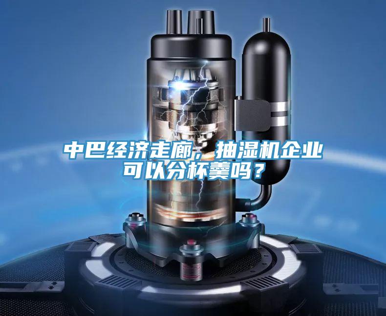 中巴經(jīng)濟(jì)走廊，抽濕機(jī)企業(yè)可以分杯羹嗎？
