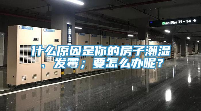什么原因是你的房子潮濕、發(fā)霉；要怎么辦呢？