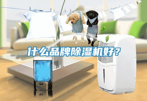 什么品牌除濕機好？