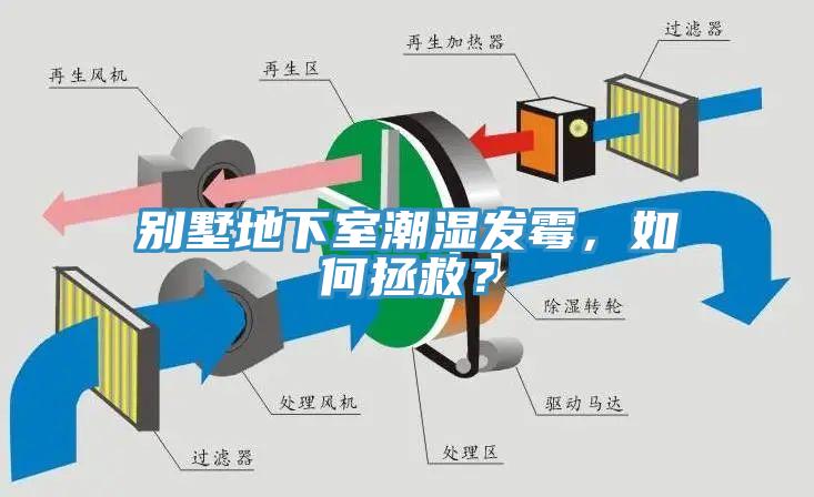 別墅地下室潮濕發(fā)霉，如何拯救？