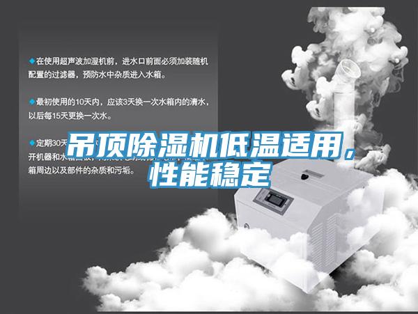 吊頂除濕機低溫適用，性能穩(wěn)定