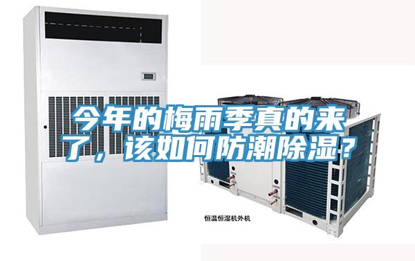 今年的梅雨季真的來了，該如何防潮除濕？