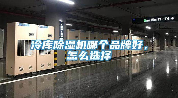 冷庫除濕機(jī)哪個品牌好，怎么選擇