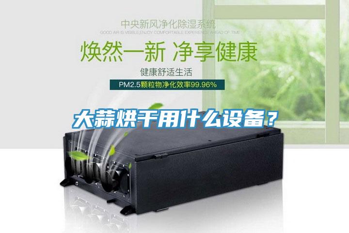 大蒜烘干用什么設(shè)備？