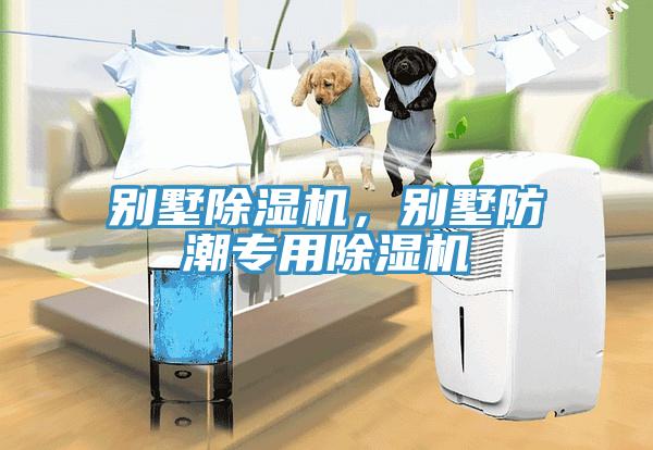 別墅除濕機(jī)，別墅防潮專用除濕機(jī)