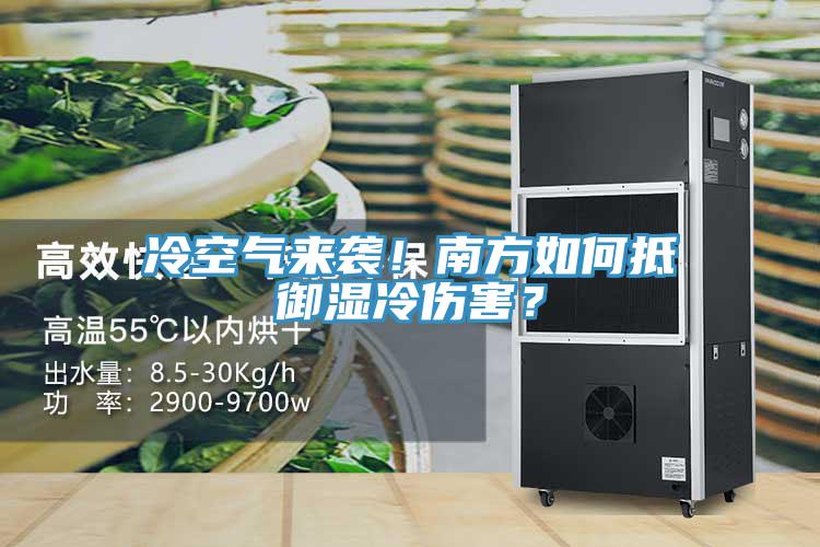 冷空氣來襲！南方如何抵御濕冷傷害？