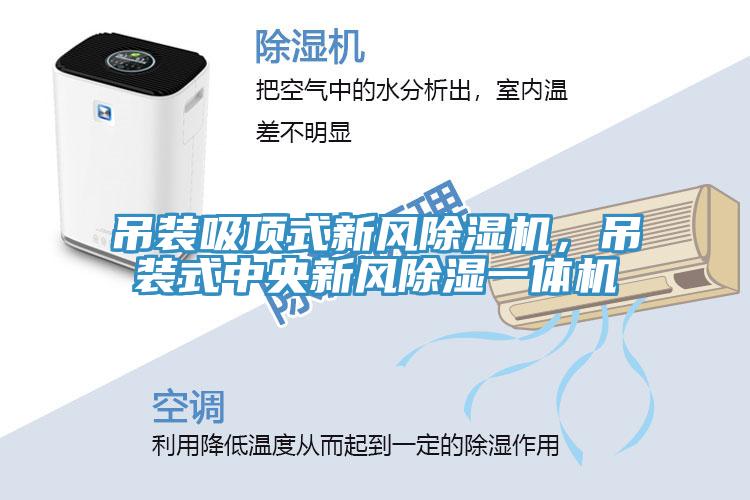 吊裝吸頂式新風除濕機，吊裝式中央新風除濕一體機