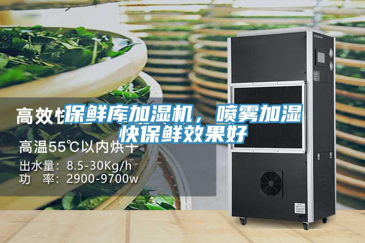 保鮮庫加濕機，噴霧加濕快保鮮效果好