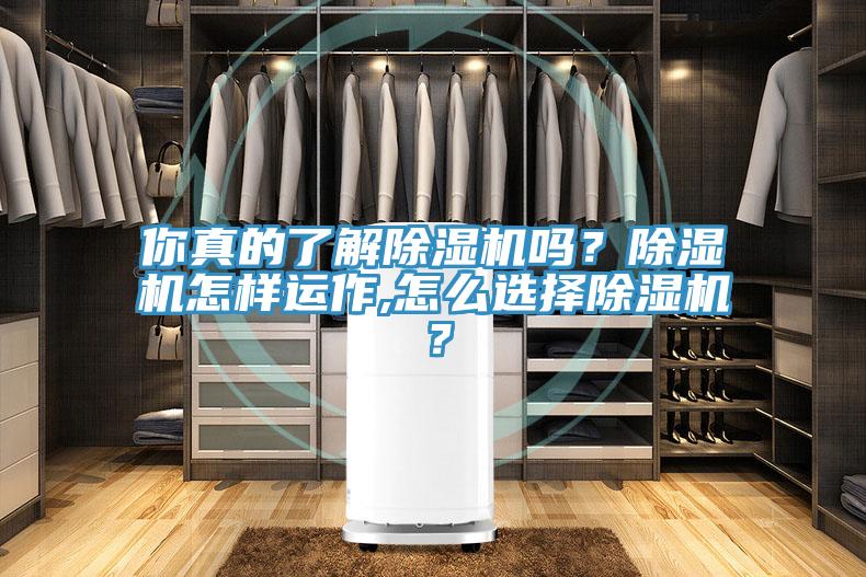 你真的了解除濕機(jī)嗎？除濕機(jī)怎樣運(yùn)作,怎么選擇除濕機(jī)？